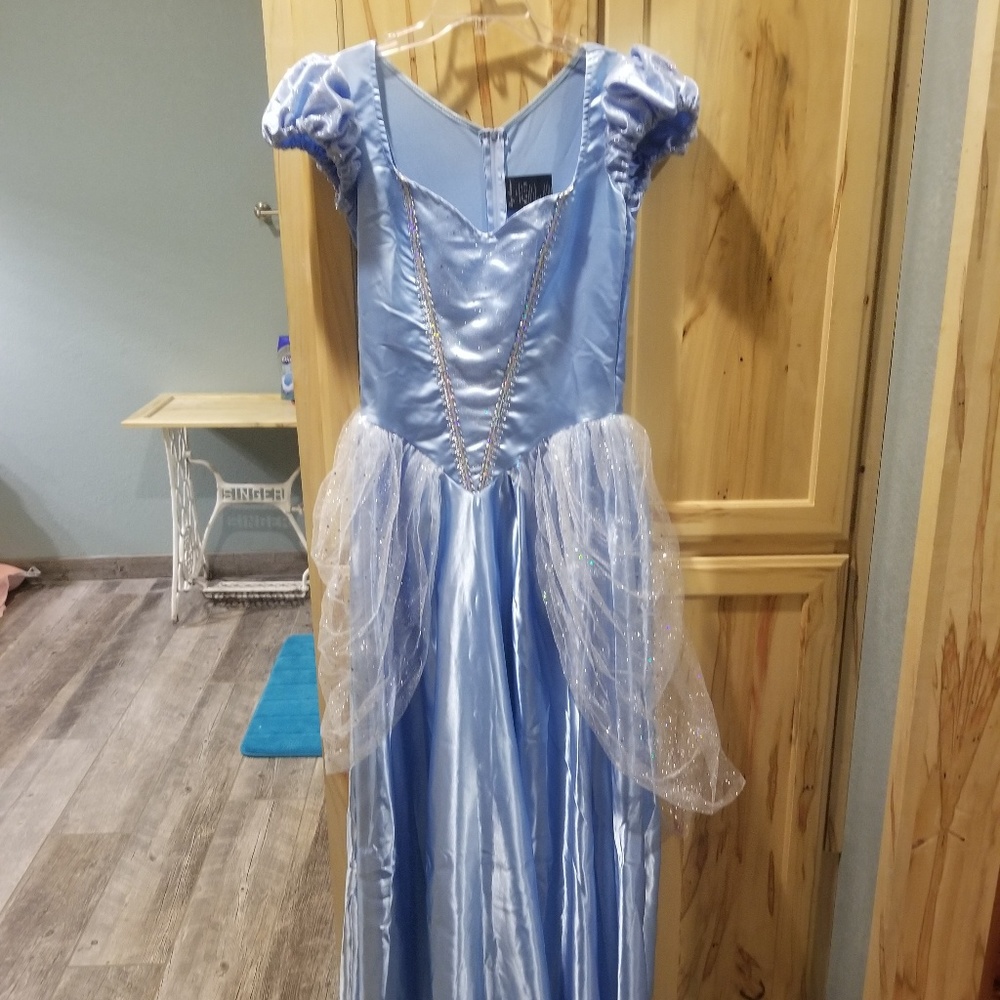 Cinderella adult  costume